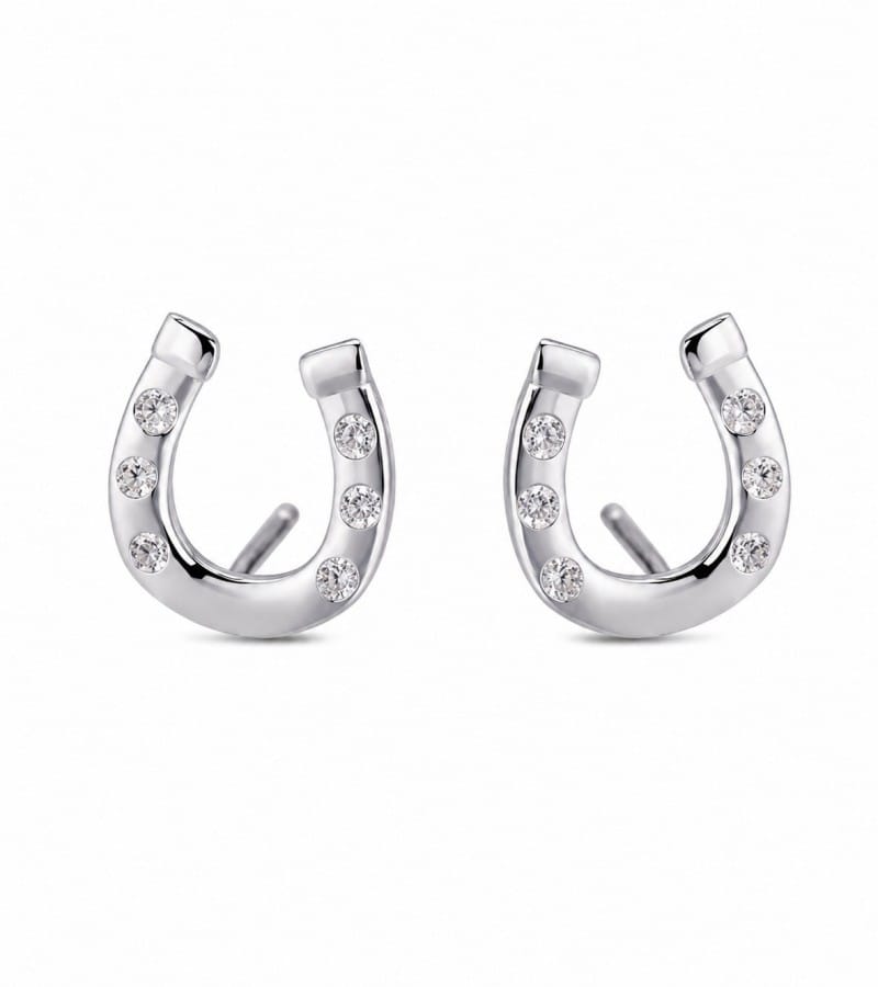 contemporary hoop for modern silver earrings collection E00145