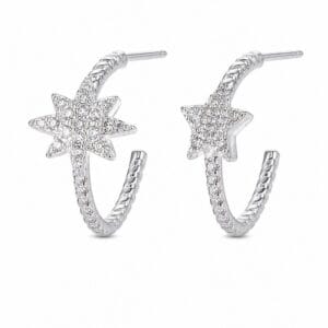 925 Sterling Silver Novelty Silver Earrings with Distinct Motif Detail for Wholesale Buyers - E00244