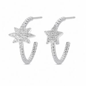 925 Sterling Silver Novelty Silver Earrings with Distinct Motif Detail for Wholesale Buyers - E00252