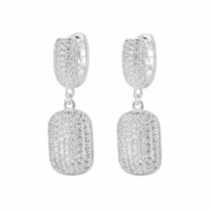 925 Sterling Silver Novelty Silver Earrings with Distinct Motif Detail for Wholesale Buyers - E00256