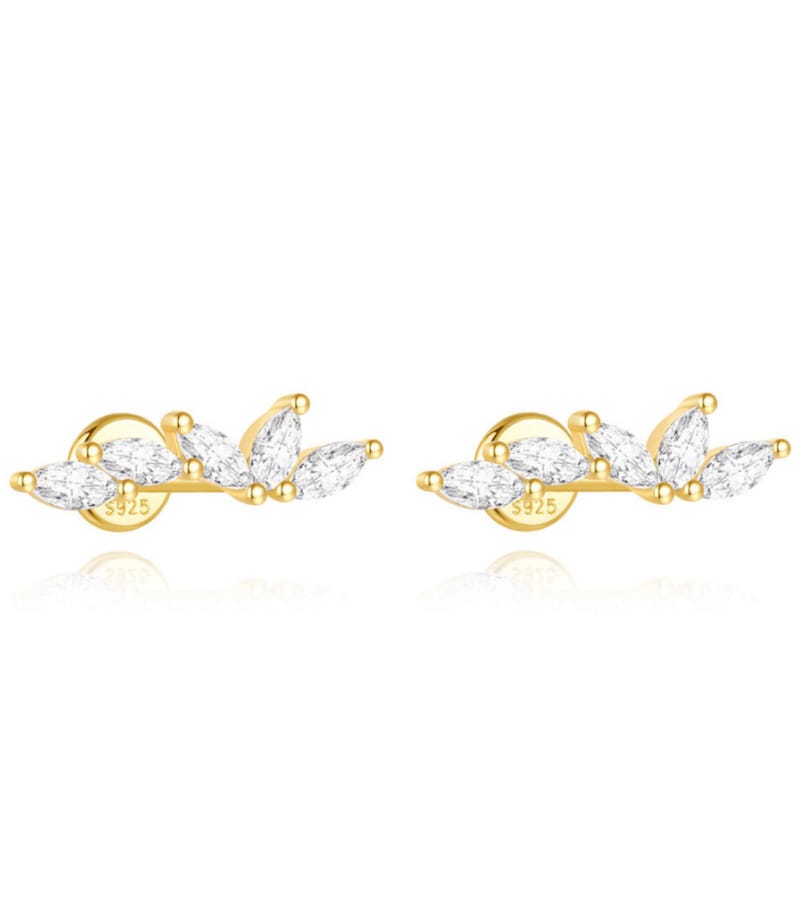 Classic Stud Earrings Supplier Style