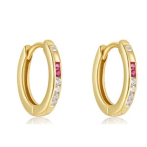 Colored Hoop Earrings Wholesale - E00397