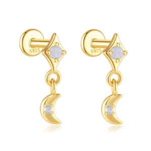 Dangle Drop Earrings Supplier Style - E00535